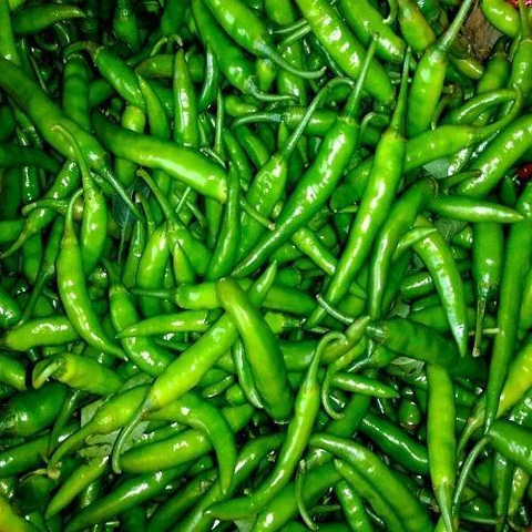 Green Chilies